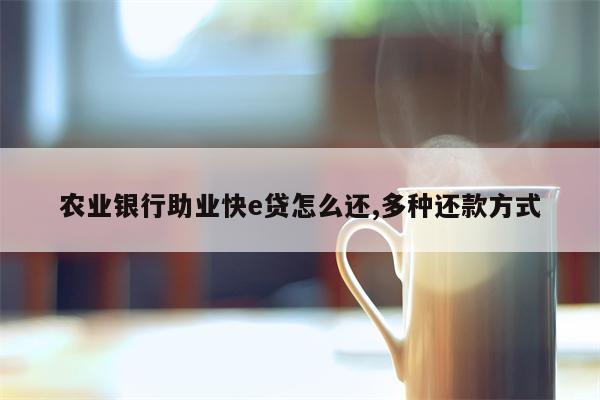 农业银行助业快e贷怎么还,多种还款方式