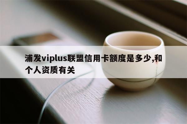 浦发viplus联盟信用卡额度是多少,和个人资质有关