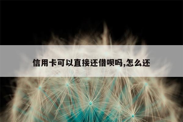 信用卡可以直接还借呗吗,怎么还