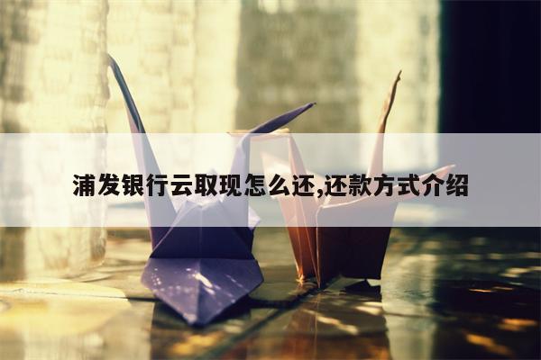 浦发银行云取现怎么还,还款方式介绍