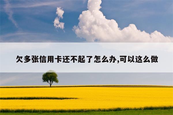 欠多张信用卡还不起了怎么办,可以这么做