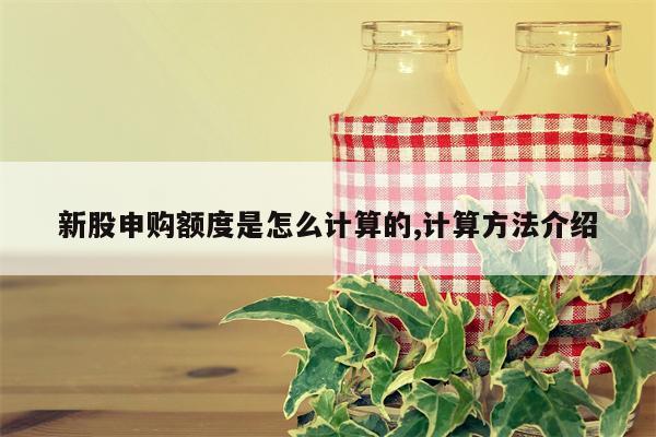 新股申购额度是怎么计算的,计算方法介绍