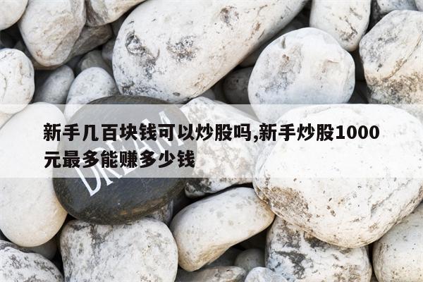 新手几百块钱可以炒股吗,新手炒股1000元最多能赚多少钱