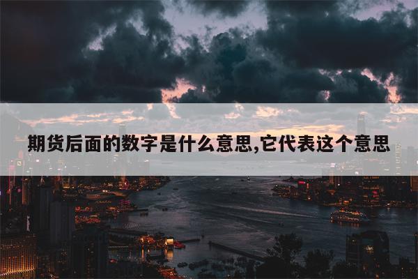 期货后面的数字是什么意思,它代表这个意思