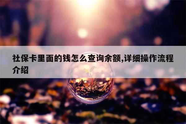 社保卡里面的钱怎么查询余额,详细操作流程介绍