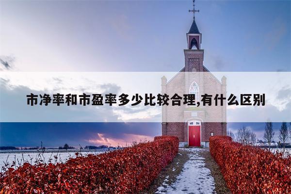 市净率和市盈率多少比较合理,有什么区别