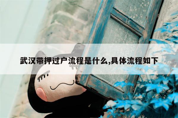 武汉带押过户流程是什么,具体流程如下