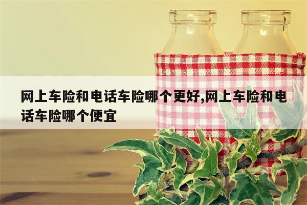 网上车险和电话车险哪个更好,网上车险和电话车险哪个便宜