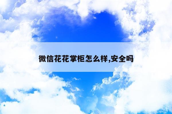 微信花花掌柜怎么样,安全吗