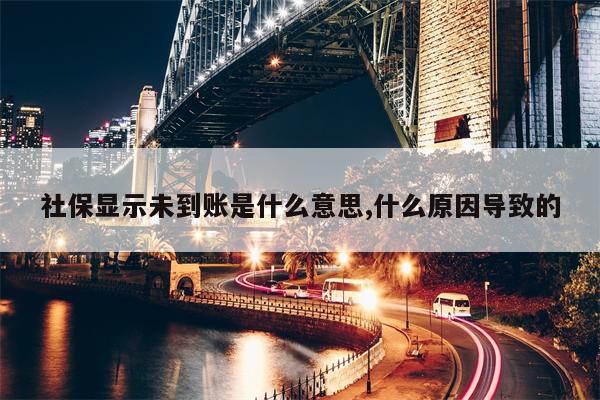 社保显示未到账是什么意思,什么原因导致的