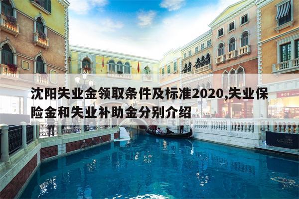 沈阳失业金领取条件及标准2020,失业保险金和失业补助金分别介绍