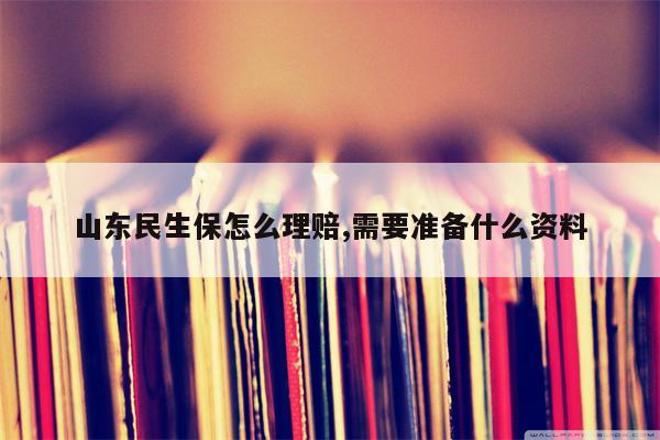 山东民生保怎么理赔,需要准备什么资料