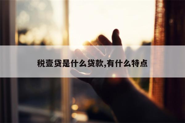 税壹贷是什么贷款,有什么特点