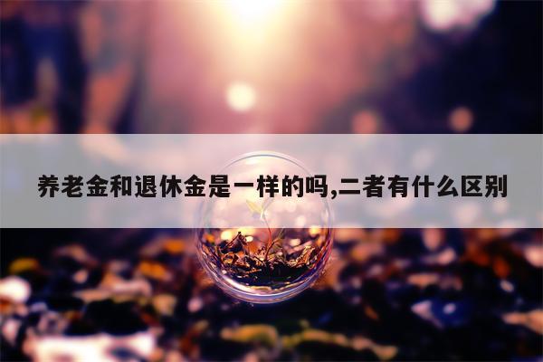 养老金和退休金是一样的吗,二者有什么区别