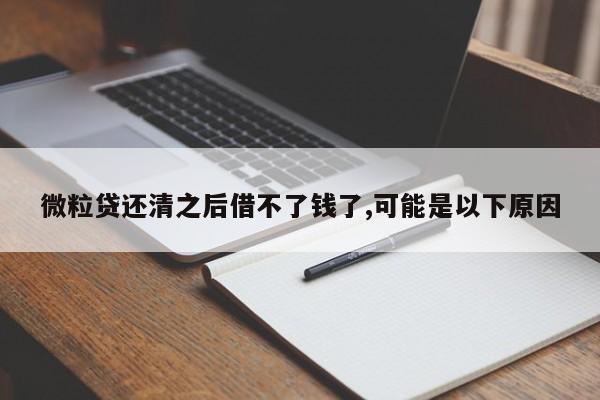 微粒贷还清之后借不了钱了,可能是以下原因