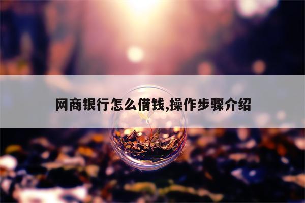 网商银行怎么借钱,操作步骤介绍