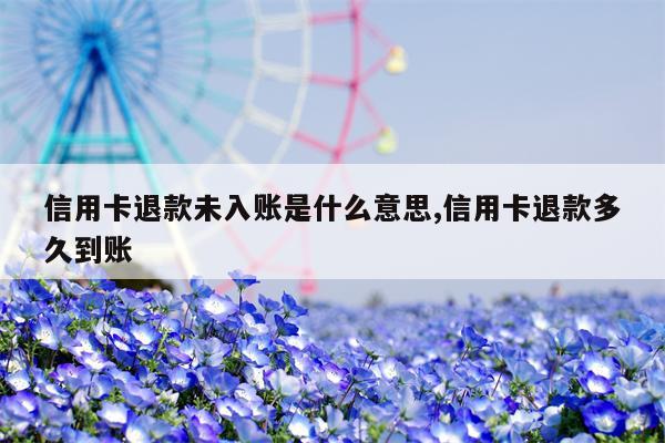 信用卡退款未入账是什么意思,信用卡退款多久到账