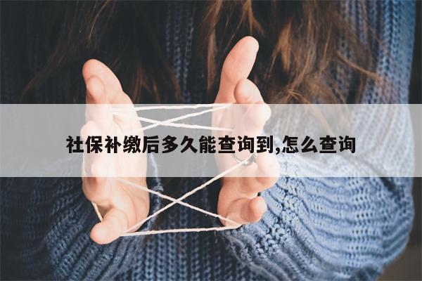 社保补缴后多久能查询到,怎么查询