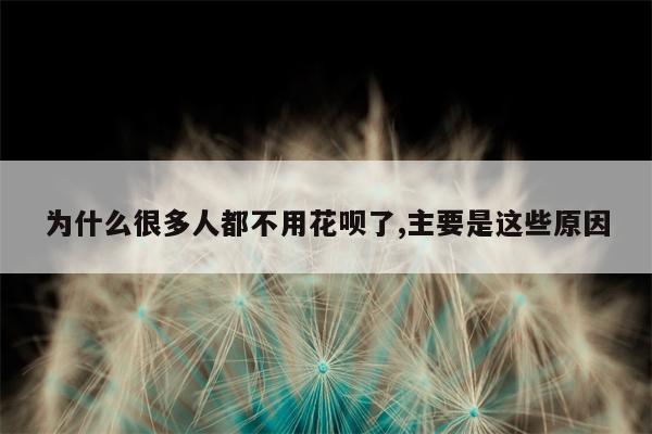 为什么很多人都不用花呗了,主要是这些原因