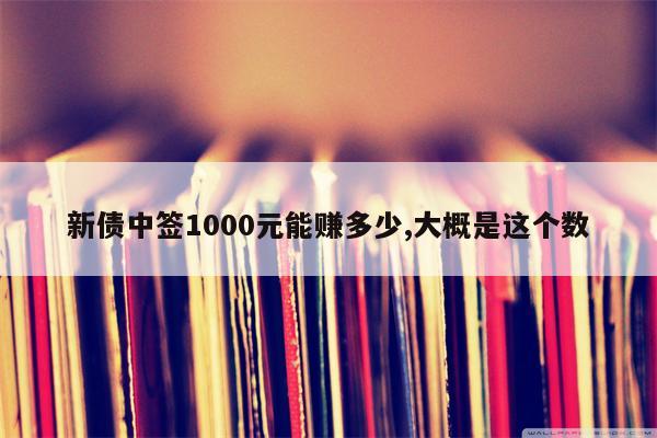 新债中签1000元能赚多少,大概是这个数