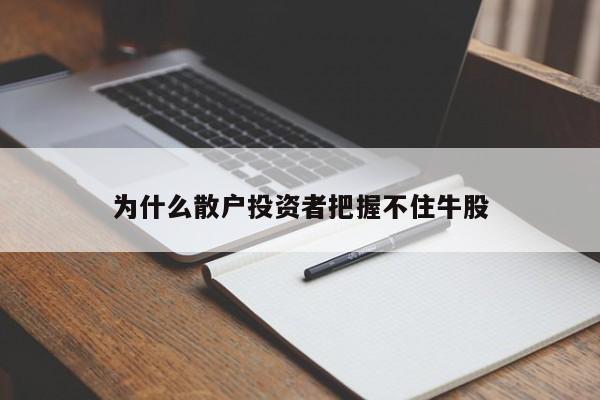 为什么散户投资者把握不住牛股