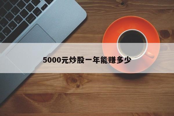 5000元炒股一年能赚多少