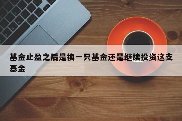 基金止盈之后是换一只基金还是继续投资这支基金