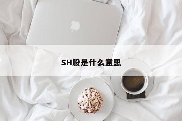 SH股是什么意思