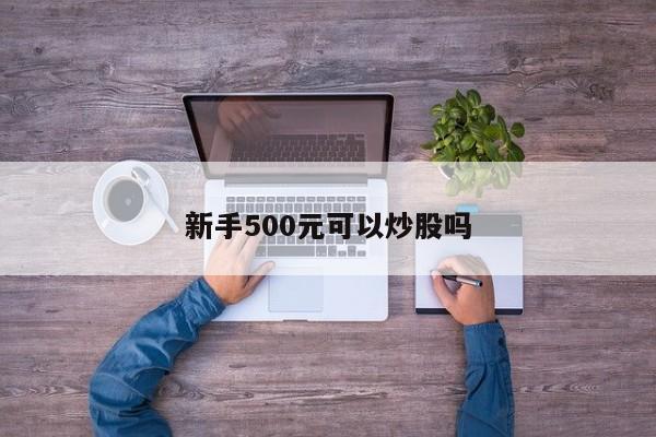 新手500元可以炒股吗