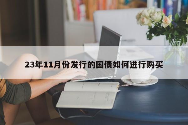 23年11月份发行的国债如何进行购买